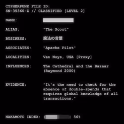 CYPHERPUNK FILES #4038