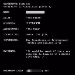 CYPHERPUNK FILES #317