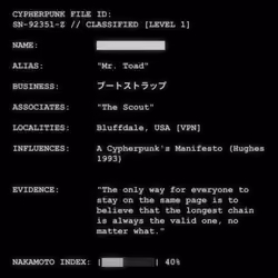 CYPHERPUNK FILES #9195