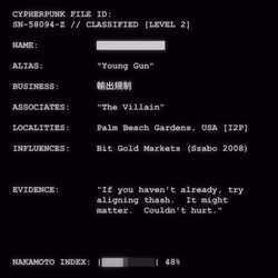 CYPHERPUNK FILES #2505