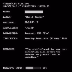 CYPHERPUNK FILES #9613