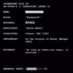 CYPHERPUNK FILES #9916