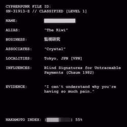 CYPHERPUNK FILES #255