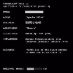 CYPHERPUNK FILES #7111