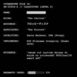 CYPHERPUNK FILES #941