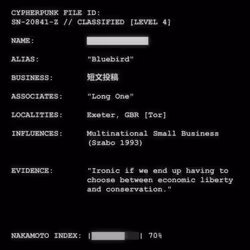 CYPHERPUNK FILES #916
