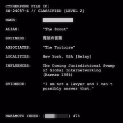 CYPHERPUNK FILES #3095