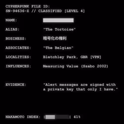 CYPHERPUNK FILES #8988
