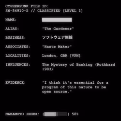 CYPHERPUNK FILES #705