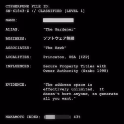 CYPHERPUNK FILES #7007