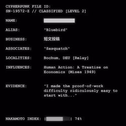 CYPHERPUNK FILES #3894