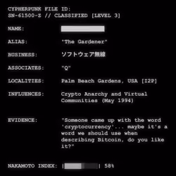 CYPHERPUNK FILES #4696