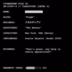 CYPHERPUNK FILES #5691