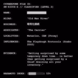 CYPHERPUNK FILES #3878
