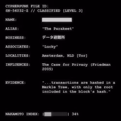 CYPHERPUNK FILES #2345