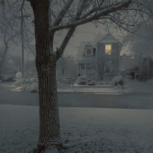 Winter In Suburbia