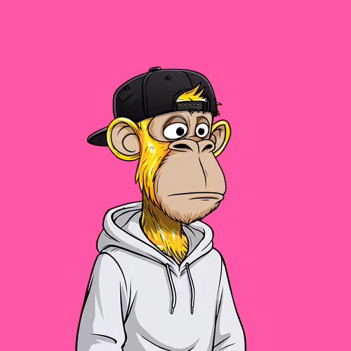 Sloppy Ape Yacht Club