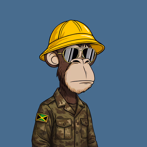 Sloppy Ape Yacht Club