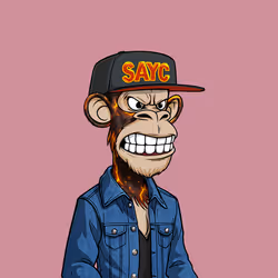 SAYC #1565