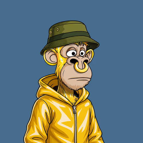 Sloppy Ape Yacht Club