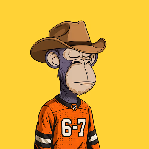 Sloppy Ape Yacht Club