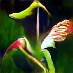 Alabama Canebrake Pitcher Plant #1 (Corpus: American Predators)
