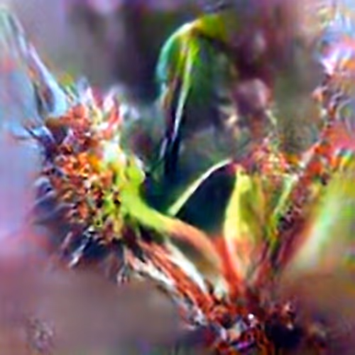 Evolved Hallucinations By Trevor Paglen