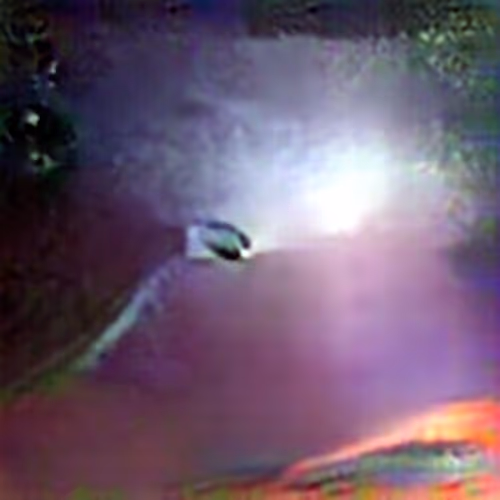 Evolved Hallucinations By Trevor Paglen