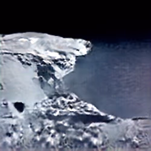 Evolved Hallucinations By Trevor Paglen