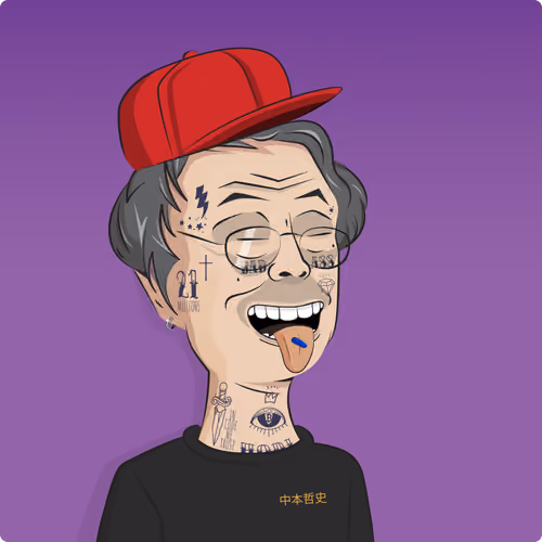 Satoshi Nation #319