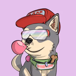 PUPPY #1580
