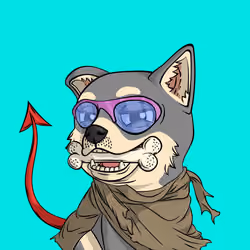 PUPPY #429
