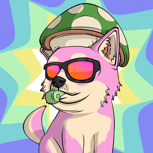 PUPPY #7965