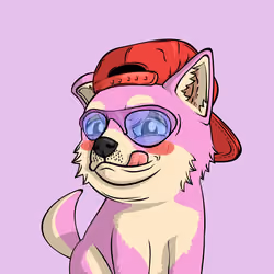 PUPPY #3948
