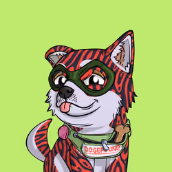 PUPPY #544