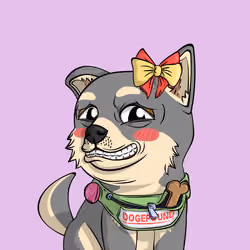 PUPPY #109