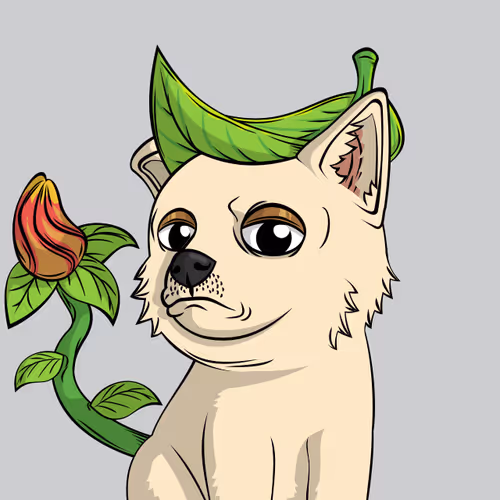 Doge Pound Puppies Real