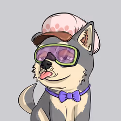 PUPPY #5249