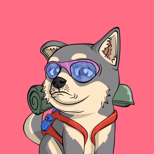 PUPPY #8409