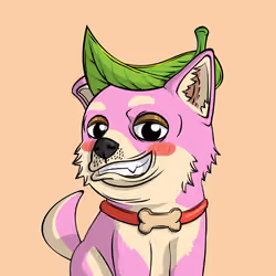 PUPPY #6228