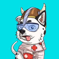 PUPPY #9984