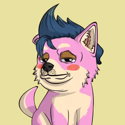 PUPPY #8418