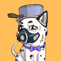 PUPPY #1593