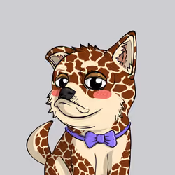PUPPY #786
