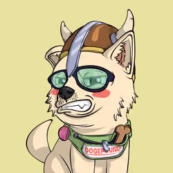 PUPPY #5702