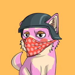 PUPPY #707