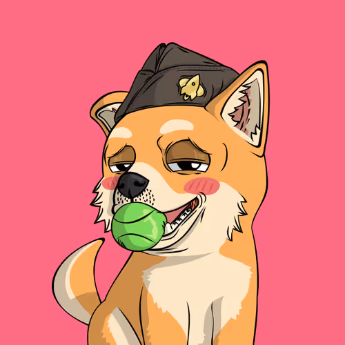 PUPPY #4681