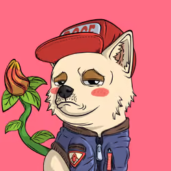 PUPPY #1702