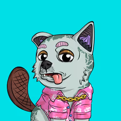 PUPPY #6346