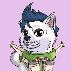 PUPPY #6298